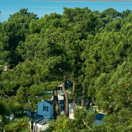 Officiel Siblu Bonne Anse Camping La Palmyre