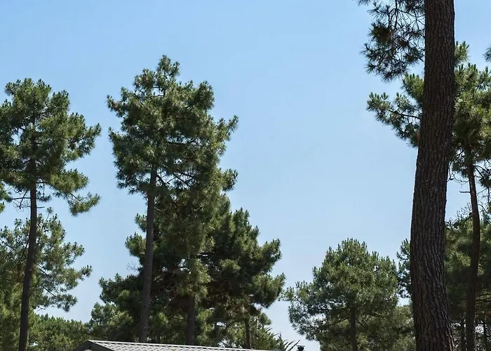 Officiel Siblu Bonne Anse 4*