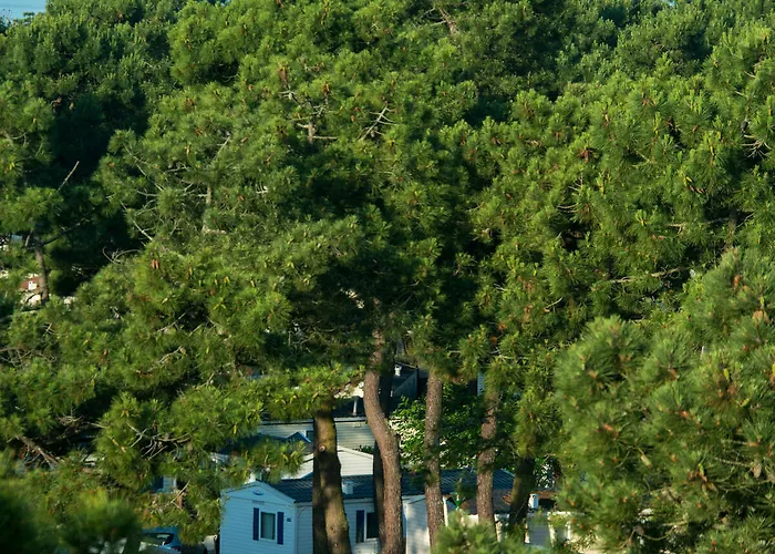 Officiel Siblu Bonne Anse Camping La Palmyre