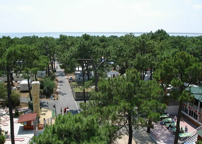 Officiel Siblu Bonne Anse Camping La Palmyre